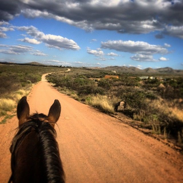 Tombstone Monument Guest Ranch