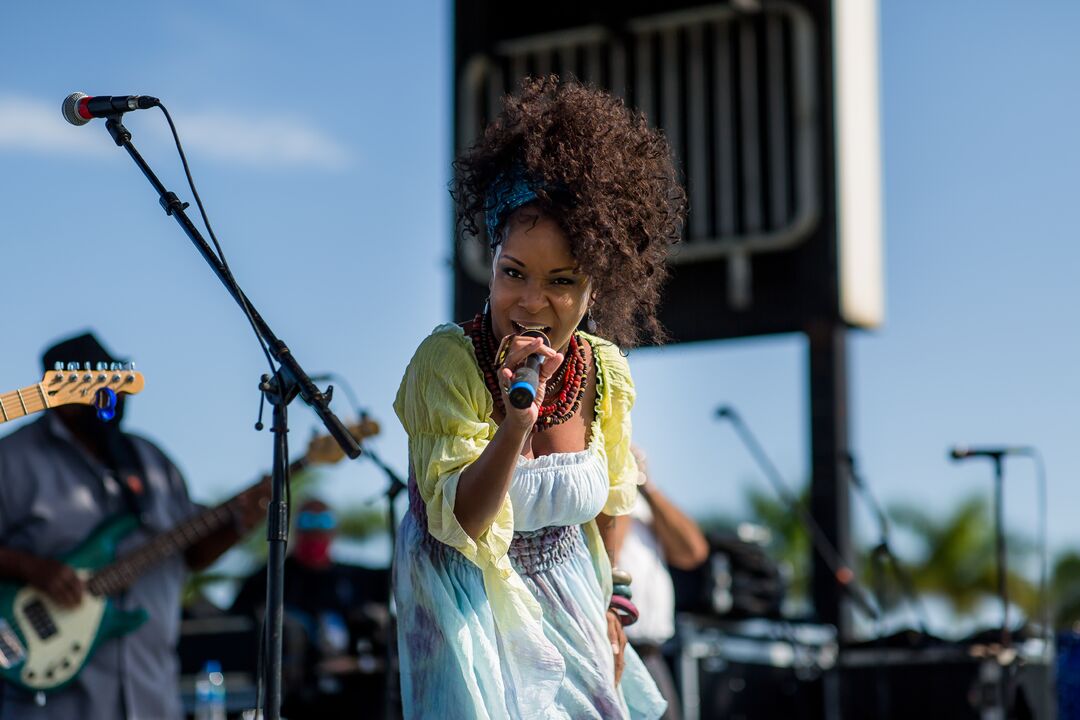 Bradenton Blues Festival 2020