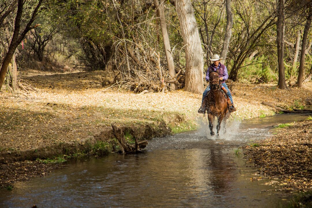 Circle Z Ranch