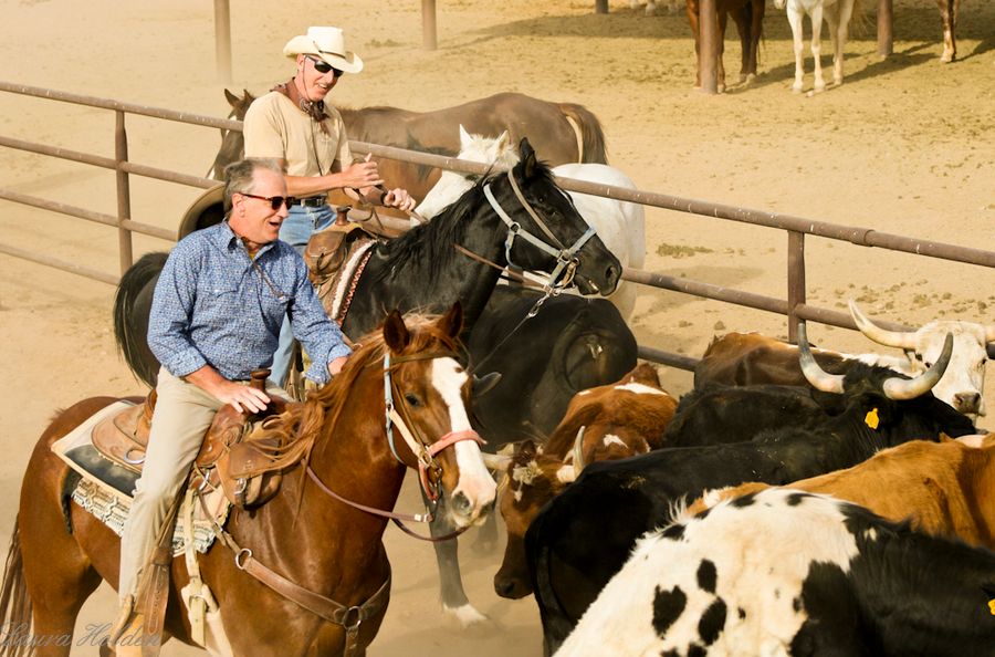 White Stallion Ranch