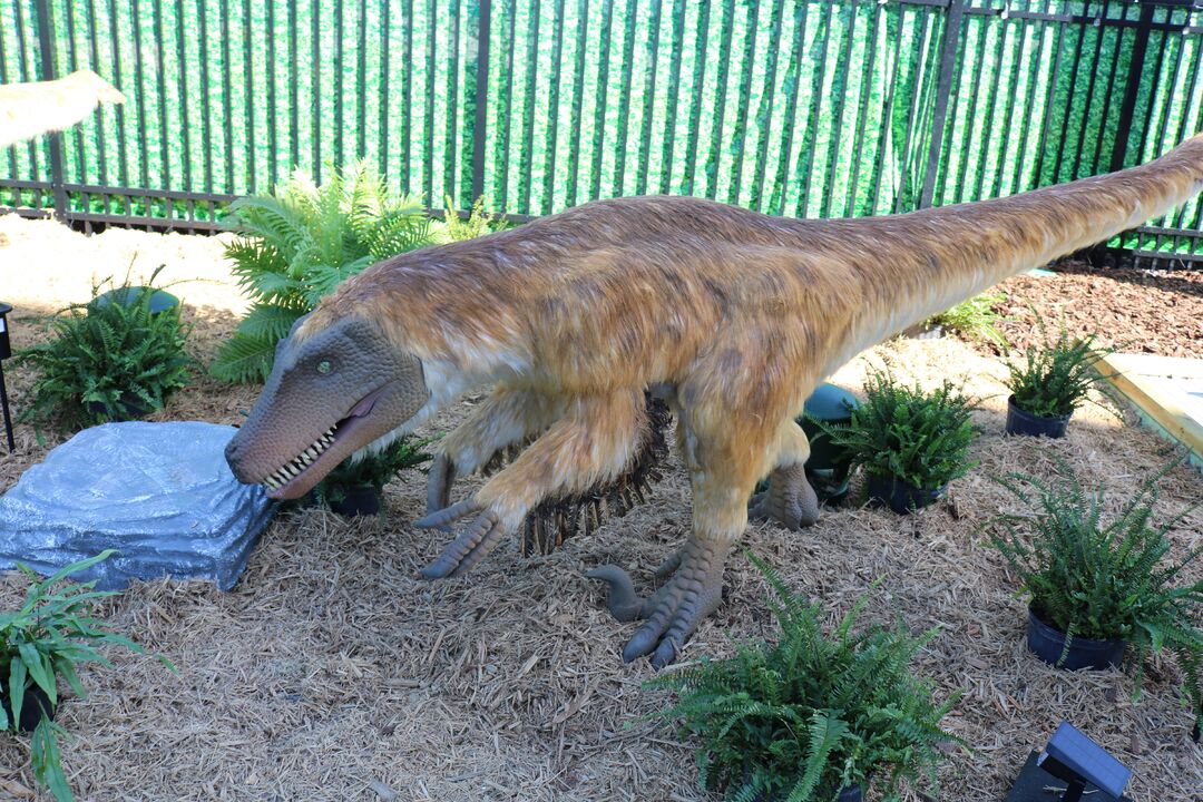 DINOVenture @ Bishop Museum