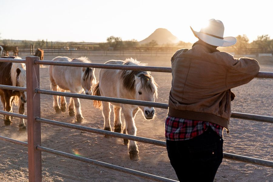 White Stallion Ranch, Tucson_credit White Stallion Ranch