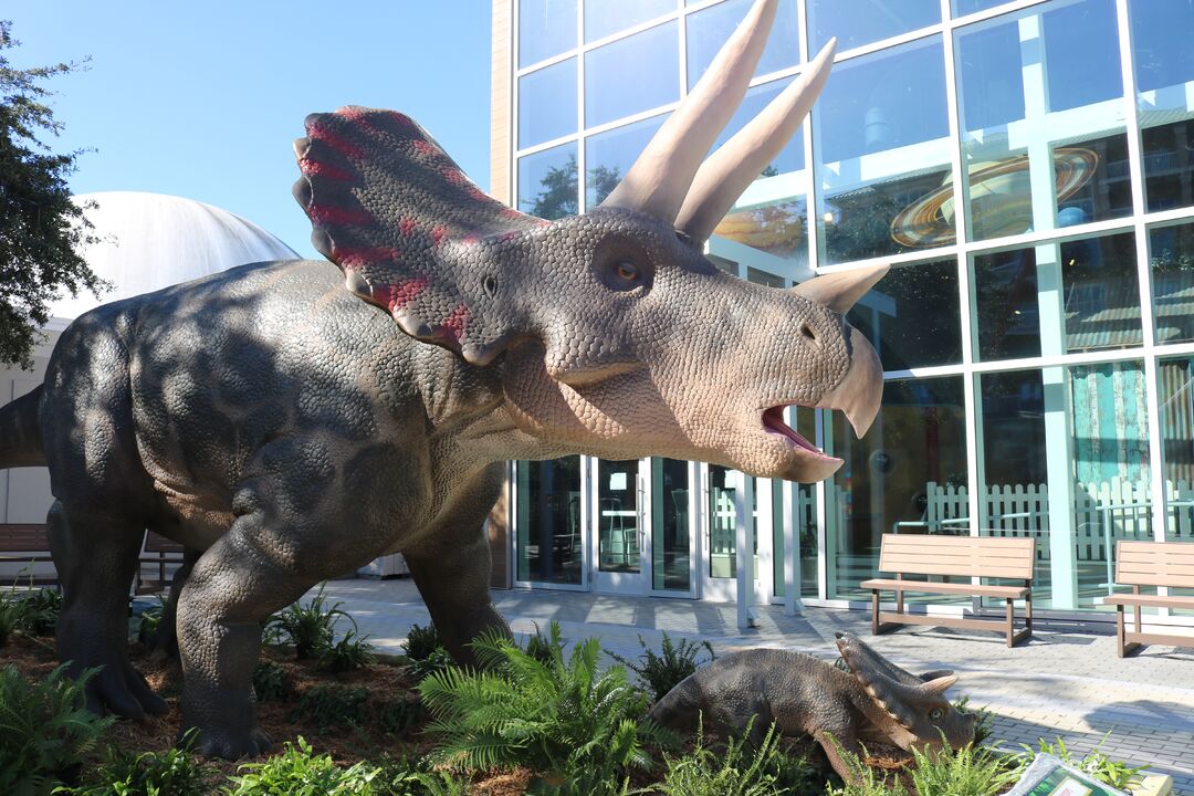 DINOVenture @ Bishop Museum