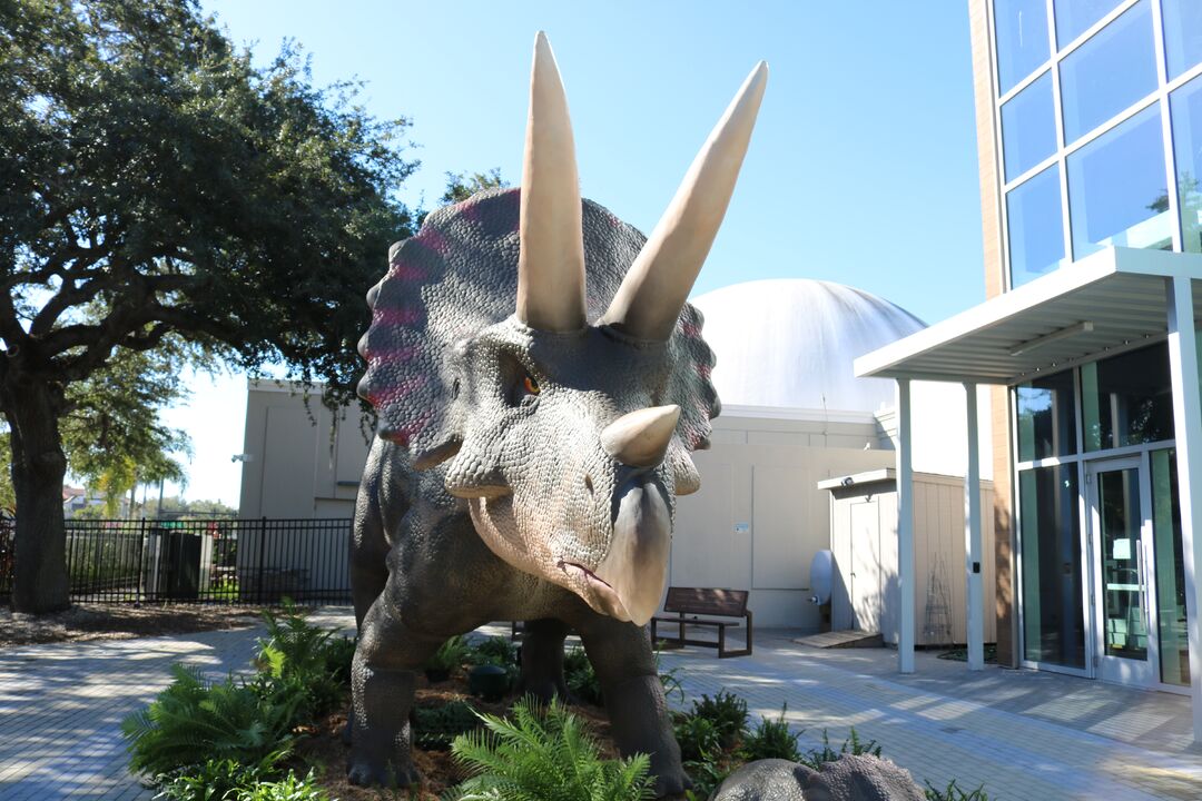 DINOVenture @ Bishop Museum