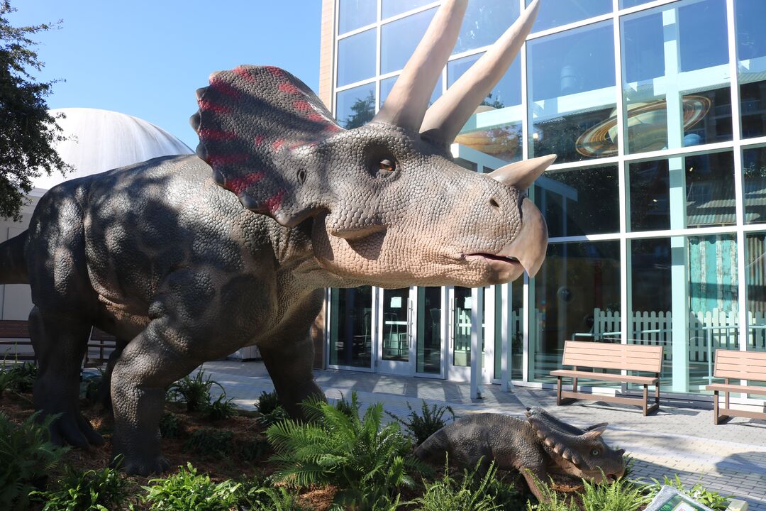 DINOVenture @ Bishop Museum