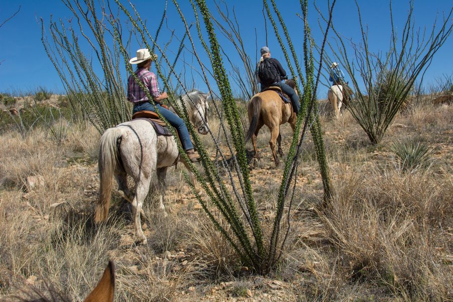 Rancho De La Osa, Sasabe_credit Bob Miller Photo