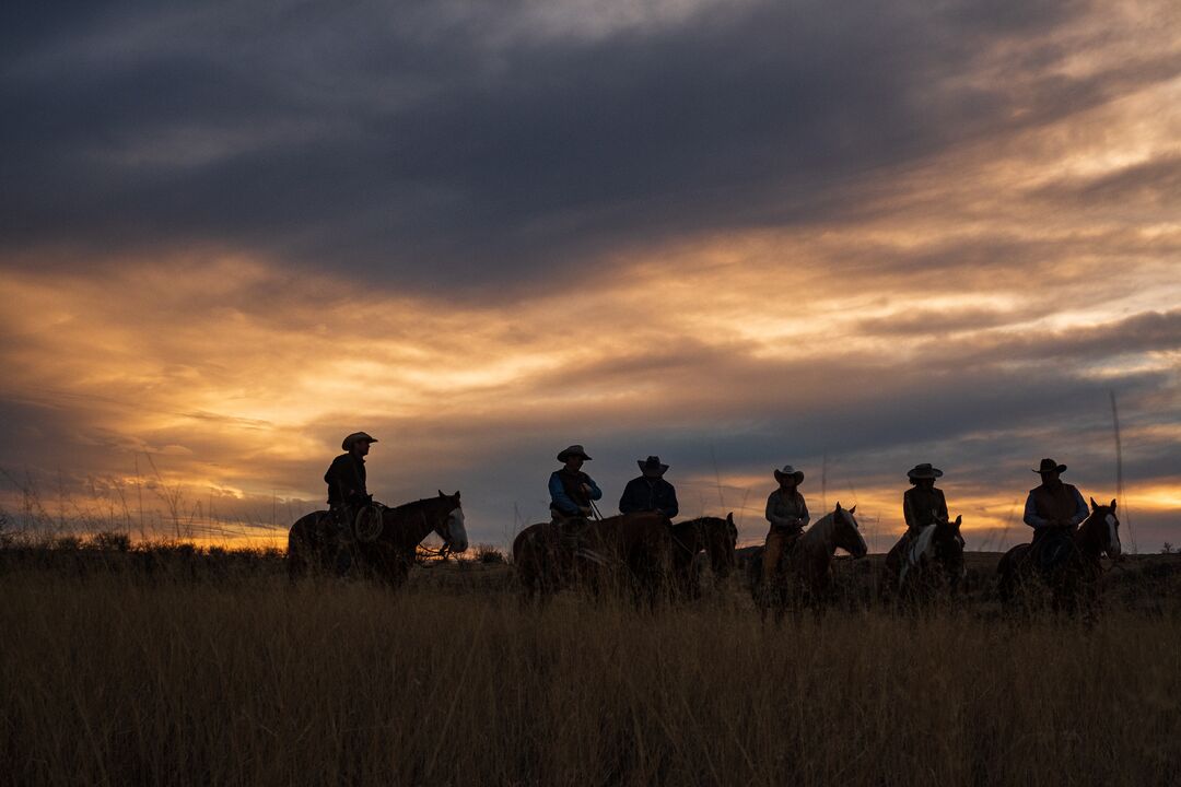 Circle Z Ranch