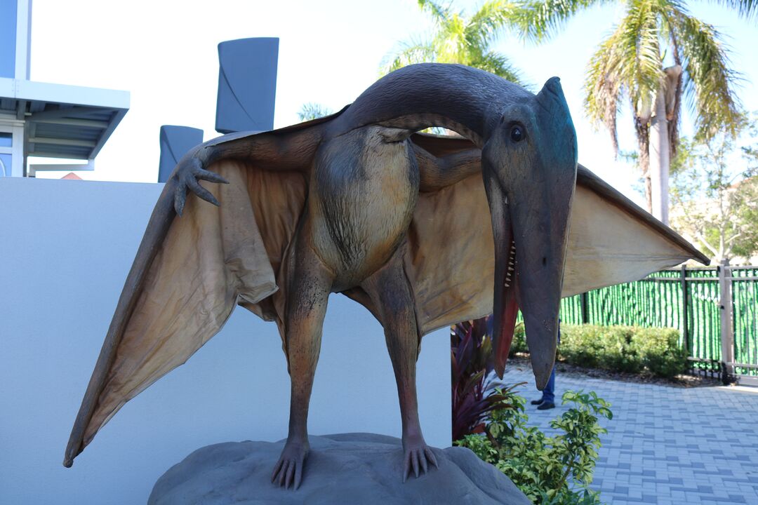 DINOVenture @ Bishop Museum