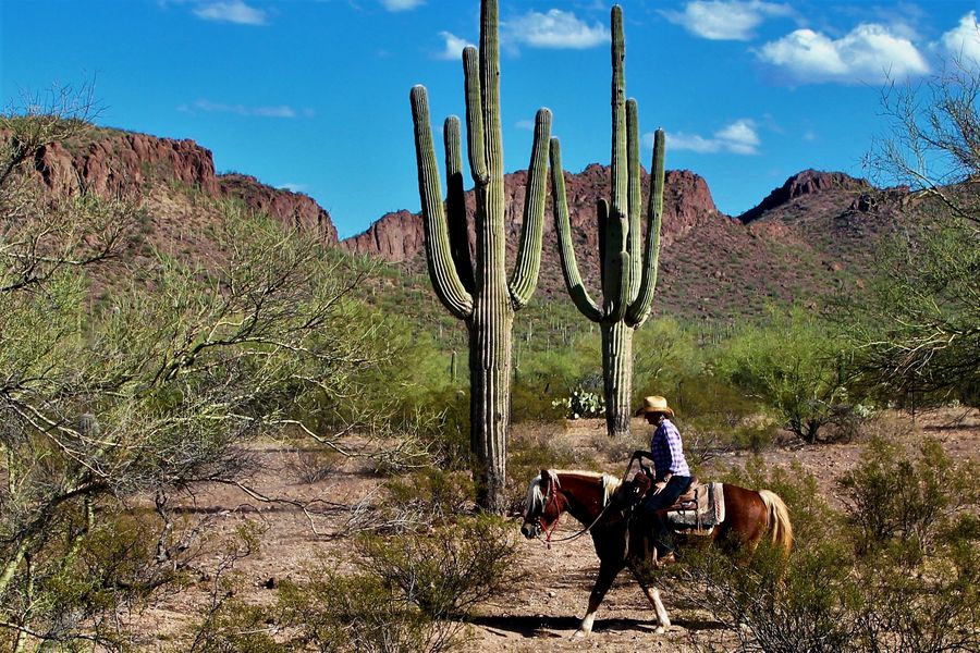 White Stallion Ranch