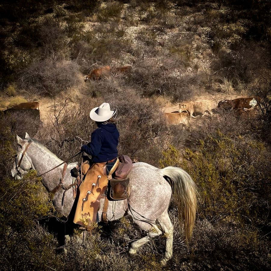 Tombstone Monument Guest Ranch