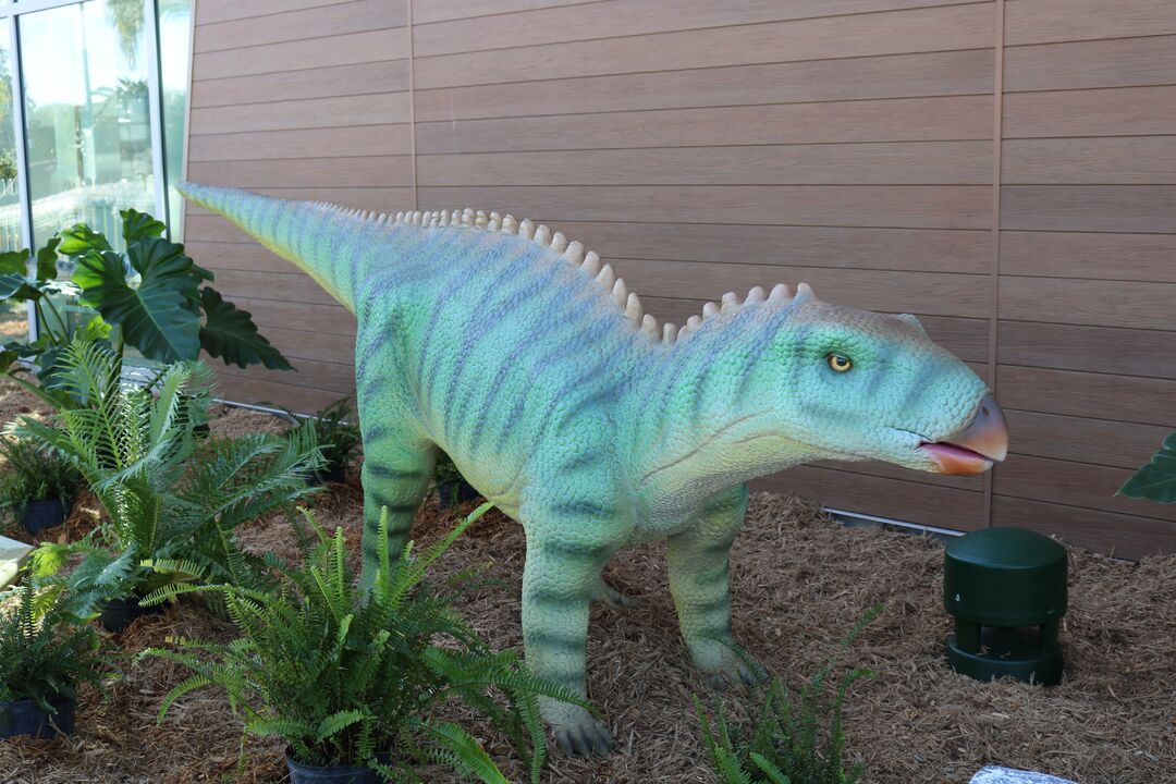 DINOVenture @ Bishop Museum