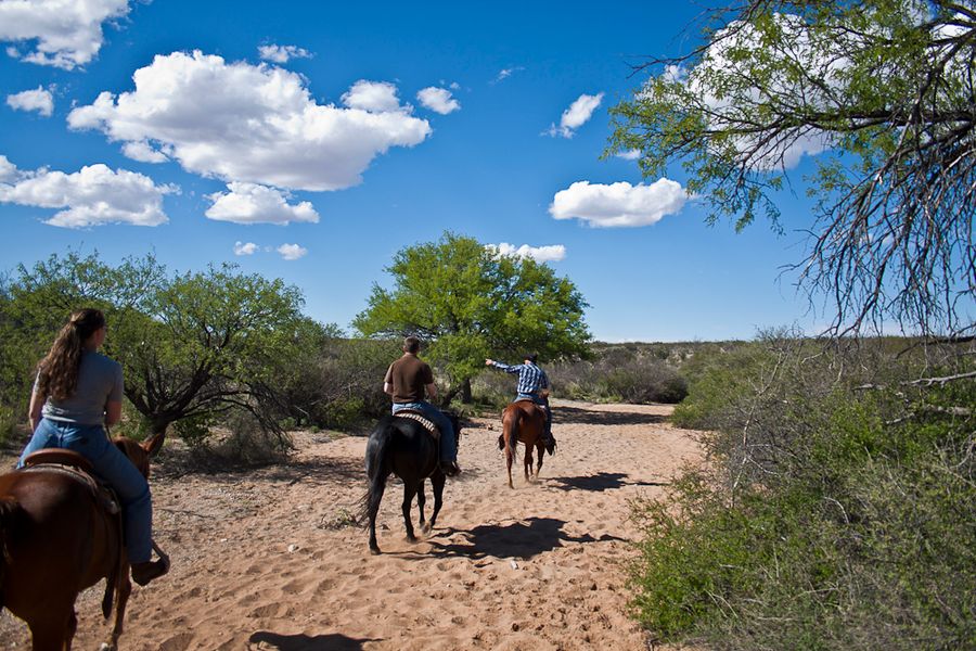 Tombstone Monument Guest Ranch