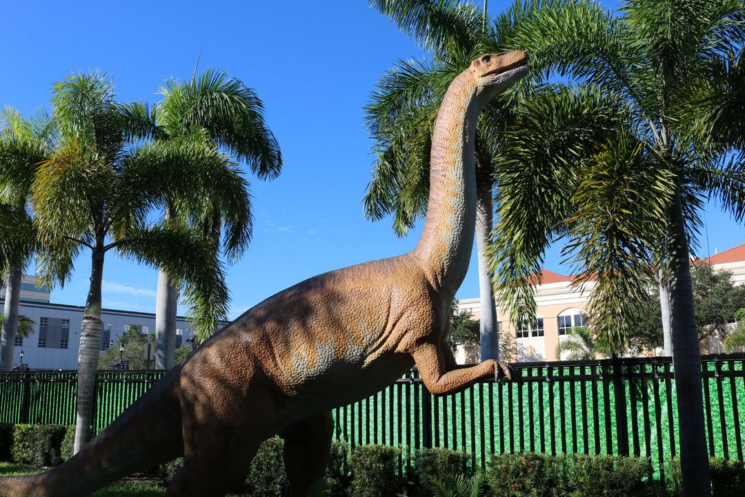 DINOVenture @ Bishop Museum