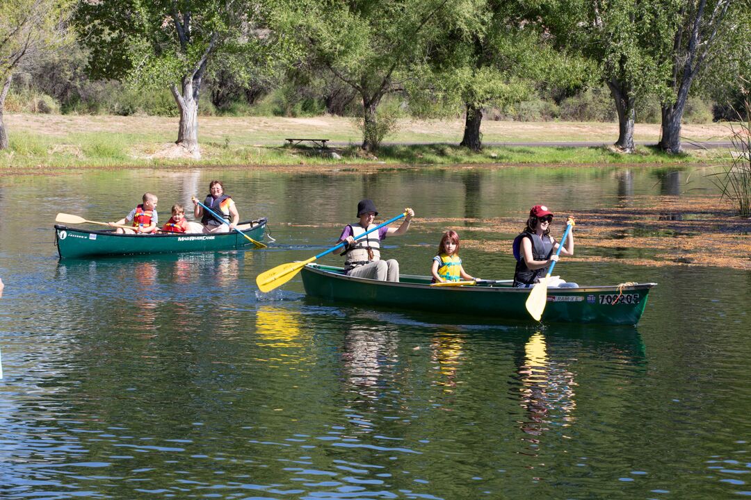 Dead Horse Ranch State Park, Cottonwood_credit Arizona State Parks and Trails