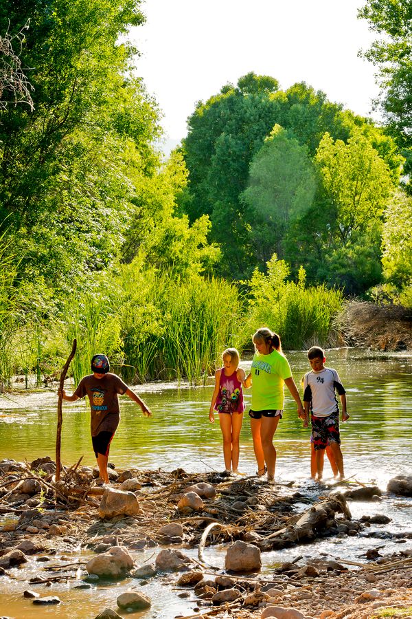 Dankworth Pond State Park, Safford_credit Arizona State Parks and Trails