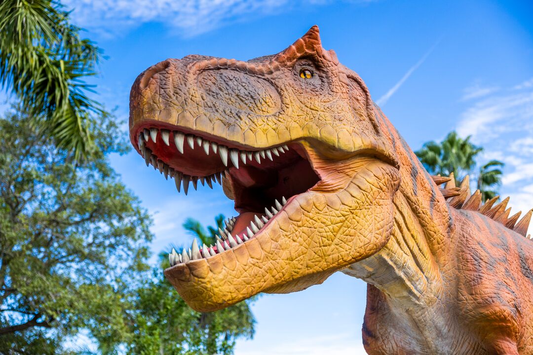 DINOVenture