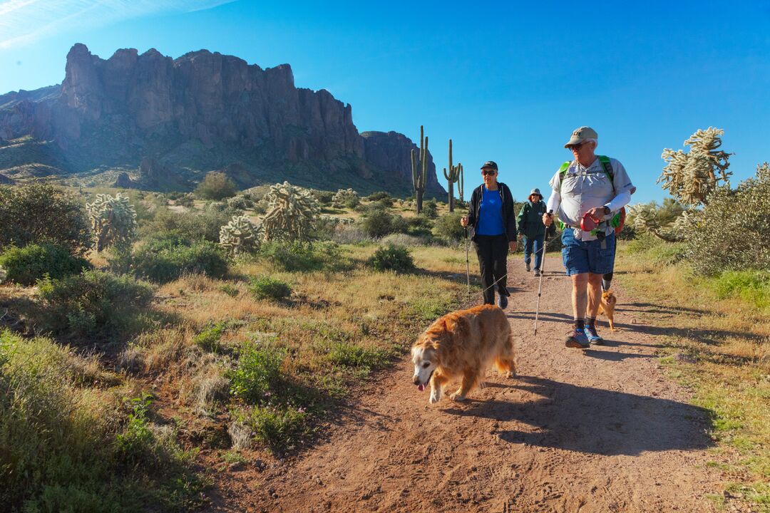 Lost Dutchman State Park, Apache Junction_credit Arizona State Parks and Trails