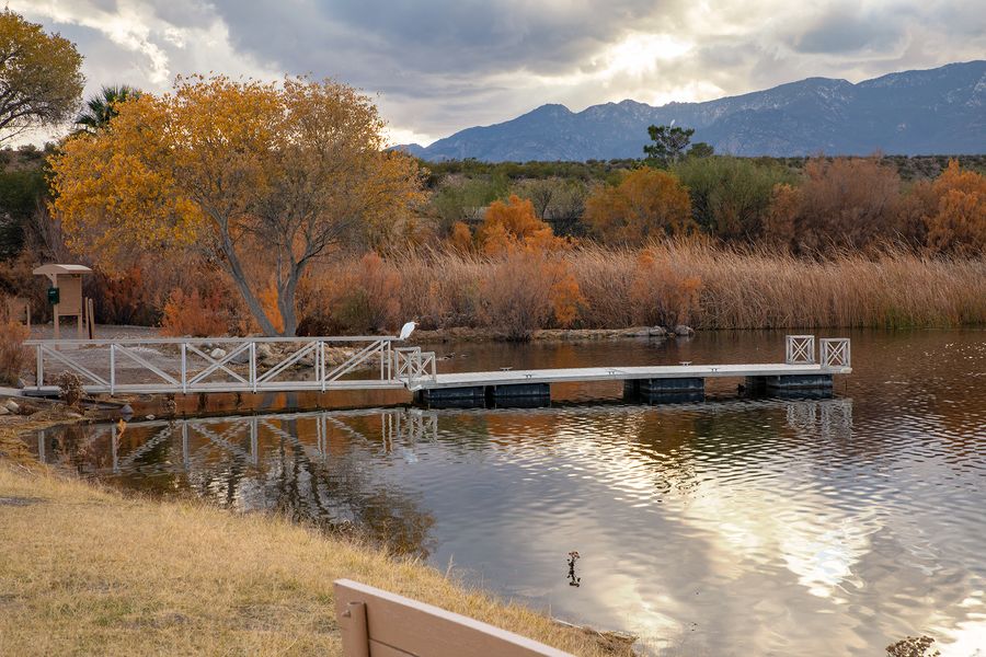 Dankworth Pond State Park, Safford_credit Arizona State Parks and Trails