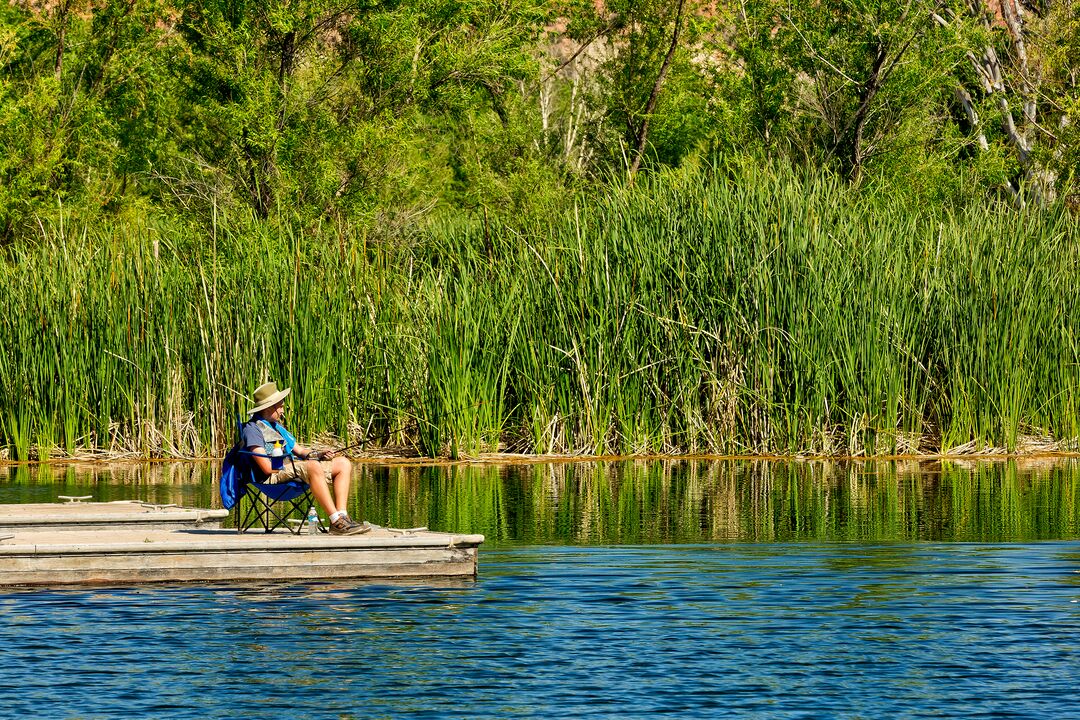 Dead Horse Ranch State Park, Cottonwood_credit Arizona State Parks and Trails