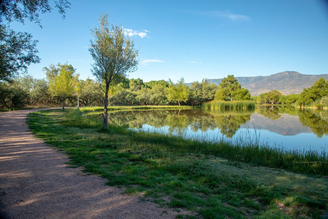 Dead Horse Ranch State Park, Cottonwood_credit Arizona State Parks and Trails