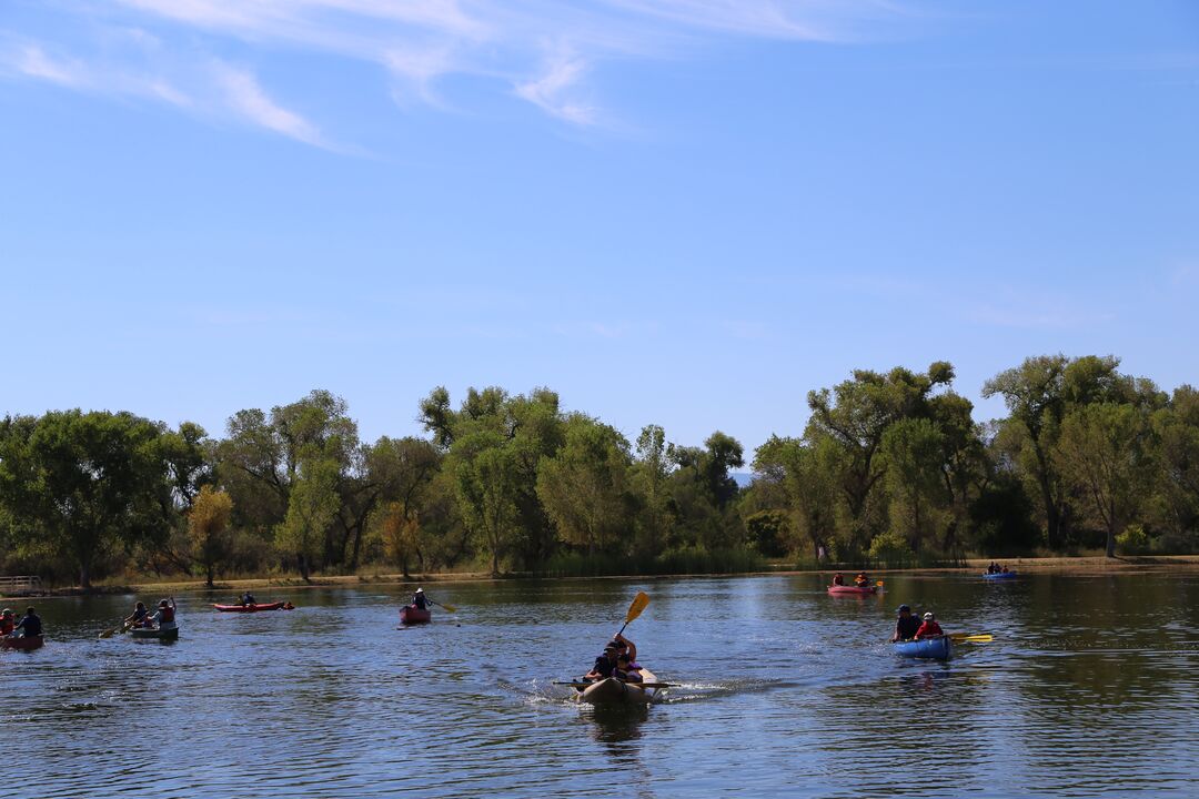 Dead Horse Ranch State Park, Cottonwood_credit Arizona State Parks and Trails