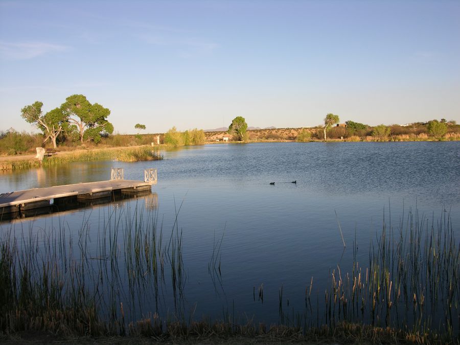 Dankworth Pond State Park, Safford_credit Arizona State Parks and Trails