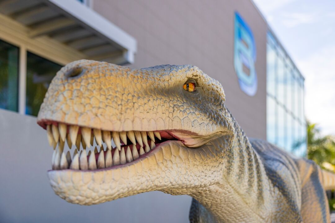 DINOVenture