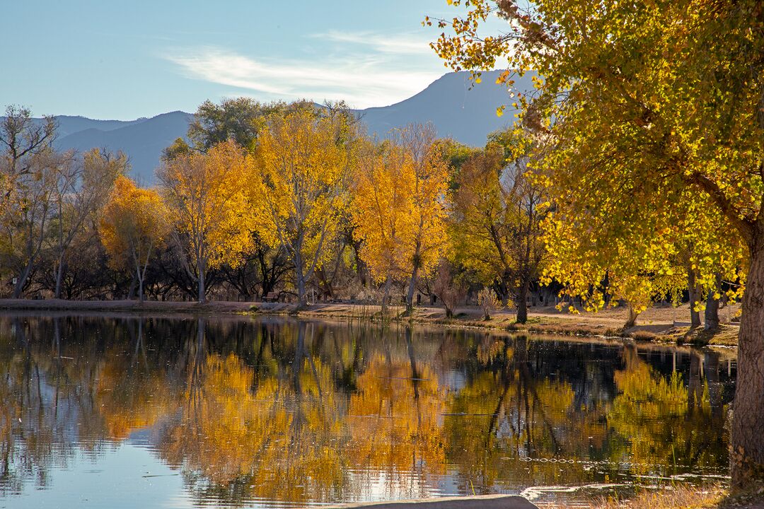 Dead Horse Ranch State Park, Cottonwood_credit Arizona State Parks and Trails