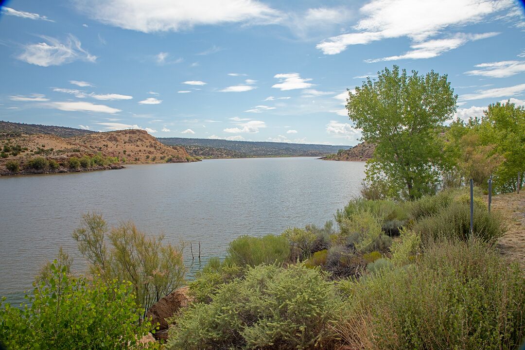 Lyman Lake State Park, St. Johns_credit Arizona State Parks and Trails