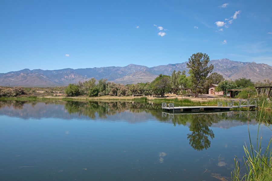 Dankworth Pond State Park, Safford_credit Arizona State Parks and Trails