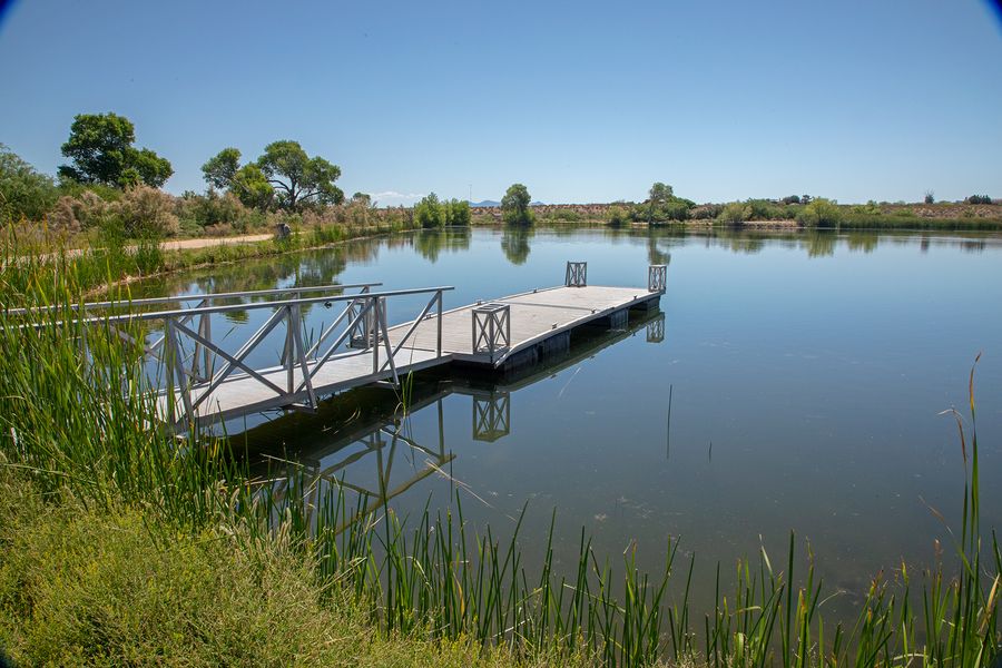 Dankworth Pond State Park, Safford_credit Arizona State Parks and Trails