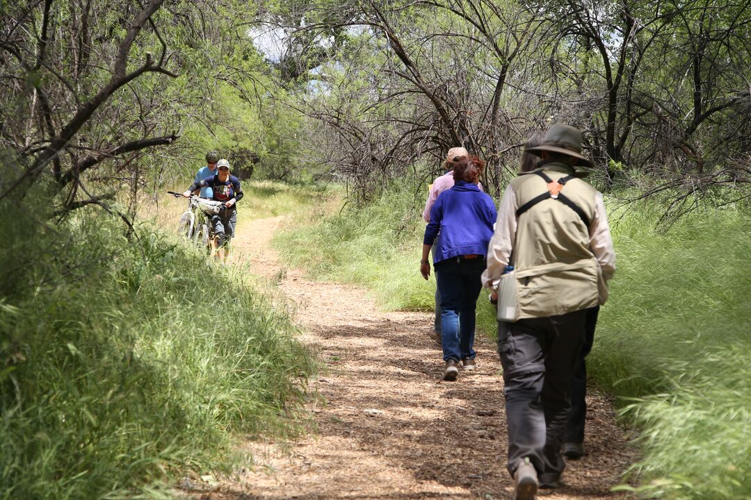 Dead Horse Ranch State Park, Cottonwood_credit Arizona State Parks and Trails