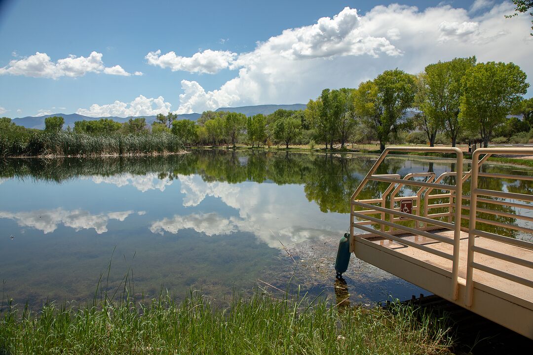 Dead Horse Ranch State Park, Cottonwood_credit Arizona State Parks and Trails