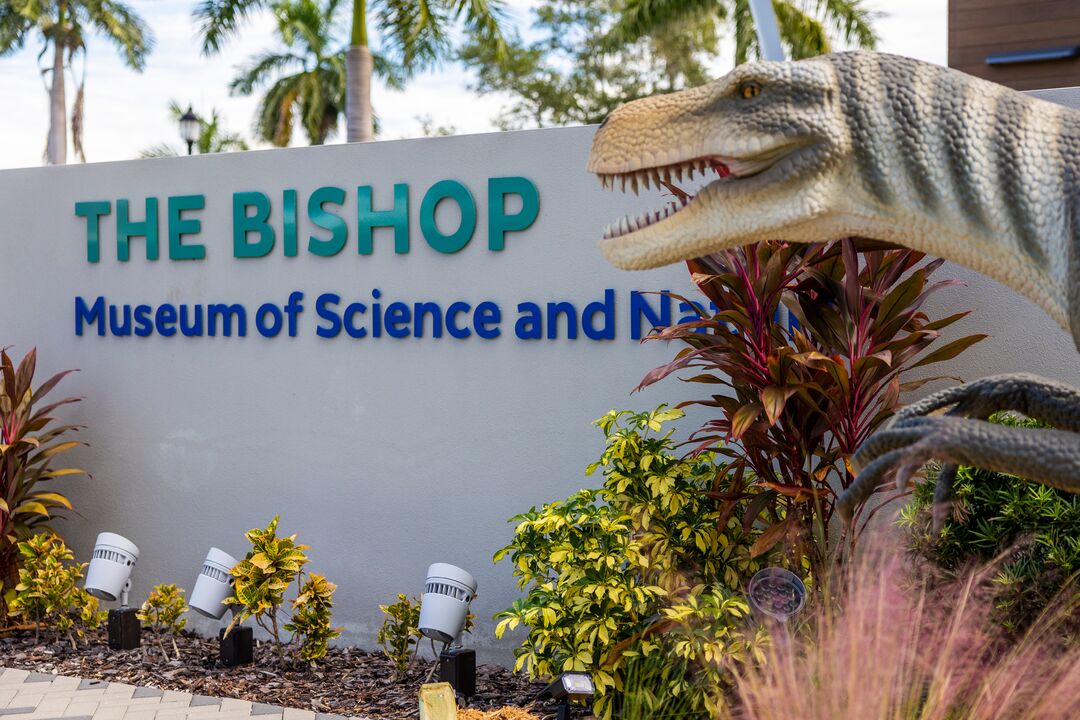 DINOVenture