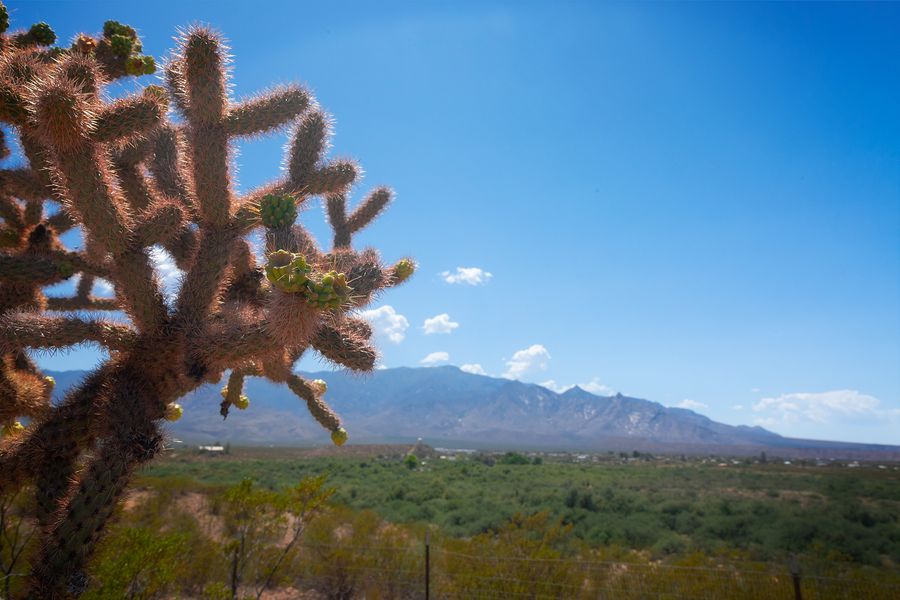 Dankworth Pond State Park, Safford_credit Arizona State Parks and Trails