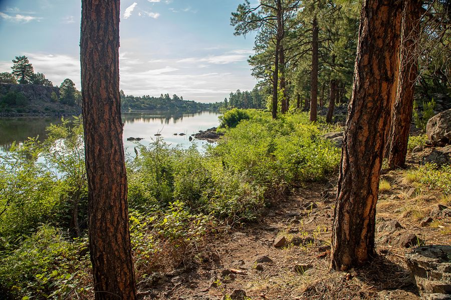 Fool Hollow Lake Recreation Area, Show Low_credit Arizona State Parks and Trails