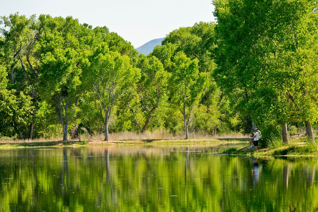 Dead Horse Ranch State Park, Cottonwood_credit Arizona State Parks and Trails