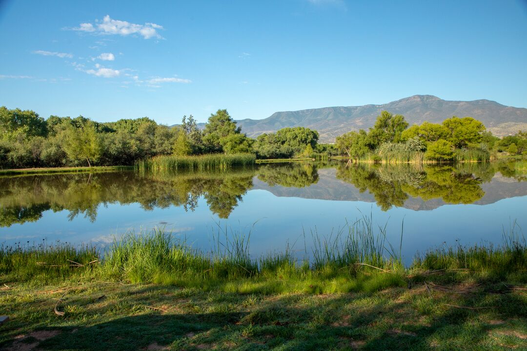 Dead Horse Ranch State Park, Cottonwood_credit Arizona State Parks and Trails