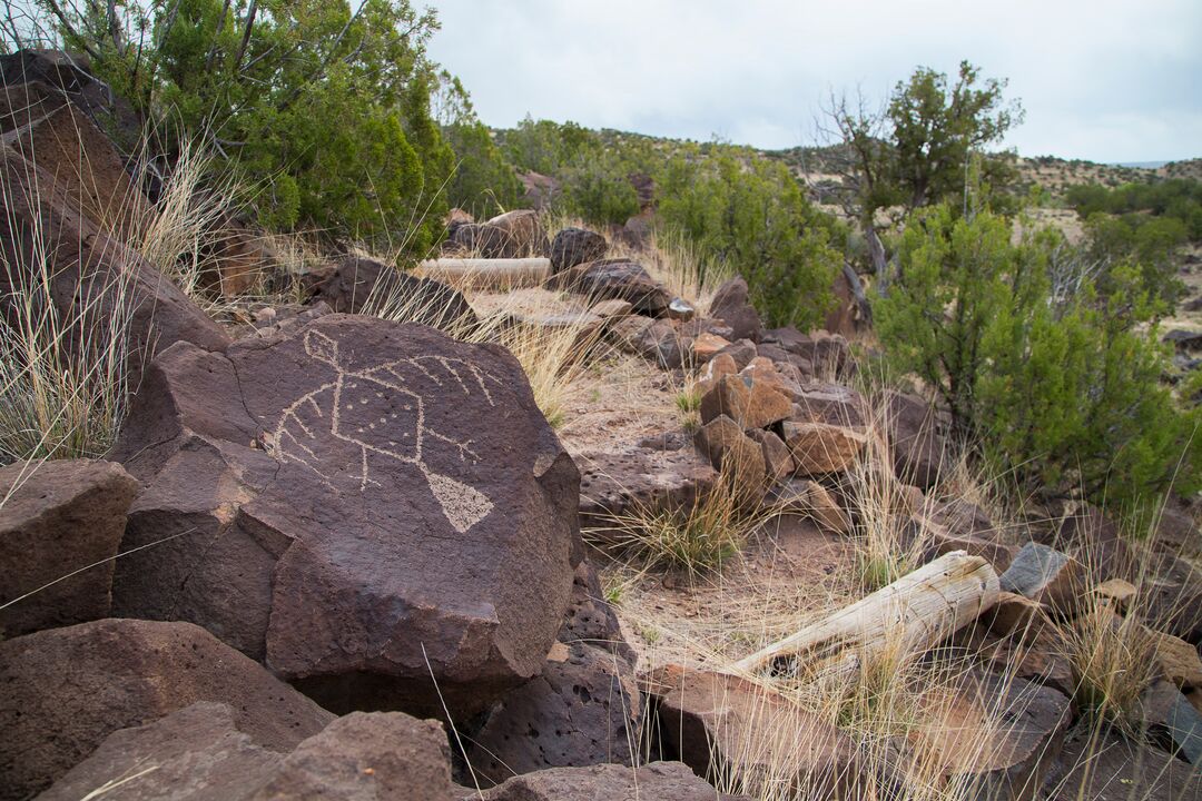 Lyman Lake State Park, St. Johns_credit Arizona State Parks and Trails