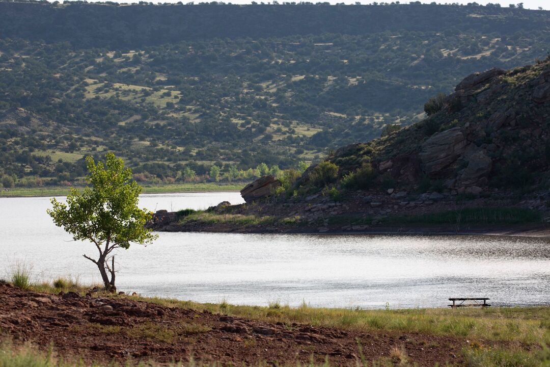 Lyman Lake State Park, St. Johns_credit Arizona State Parks and Trails