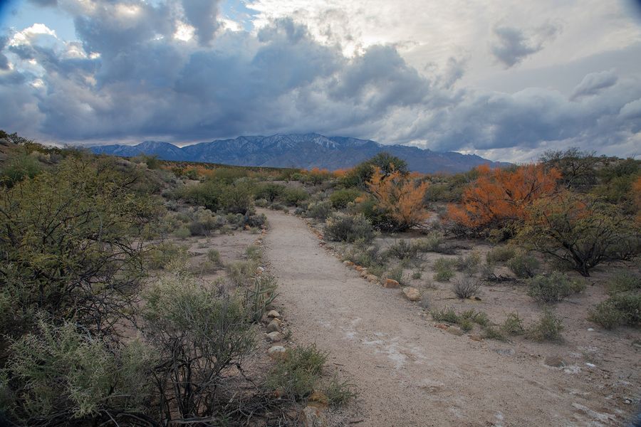 Roper Lake State Park_credit Arizona State Parks and Trails