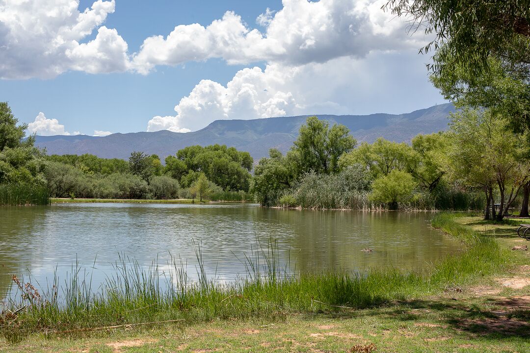 Dead Horse Ranch State Park, Cottonwood_credit Arizona State Parks and Trails