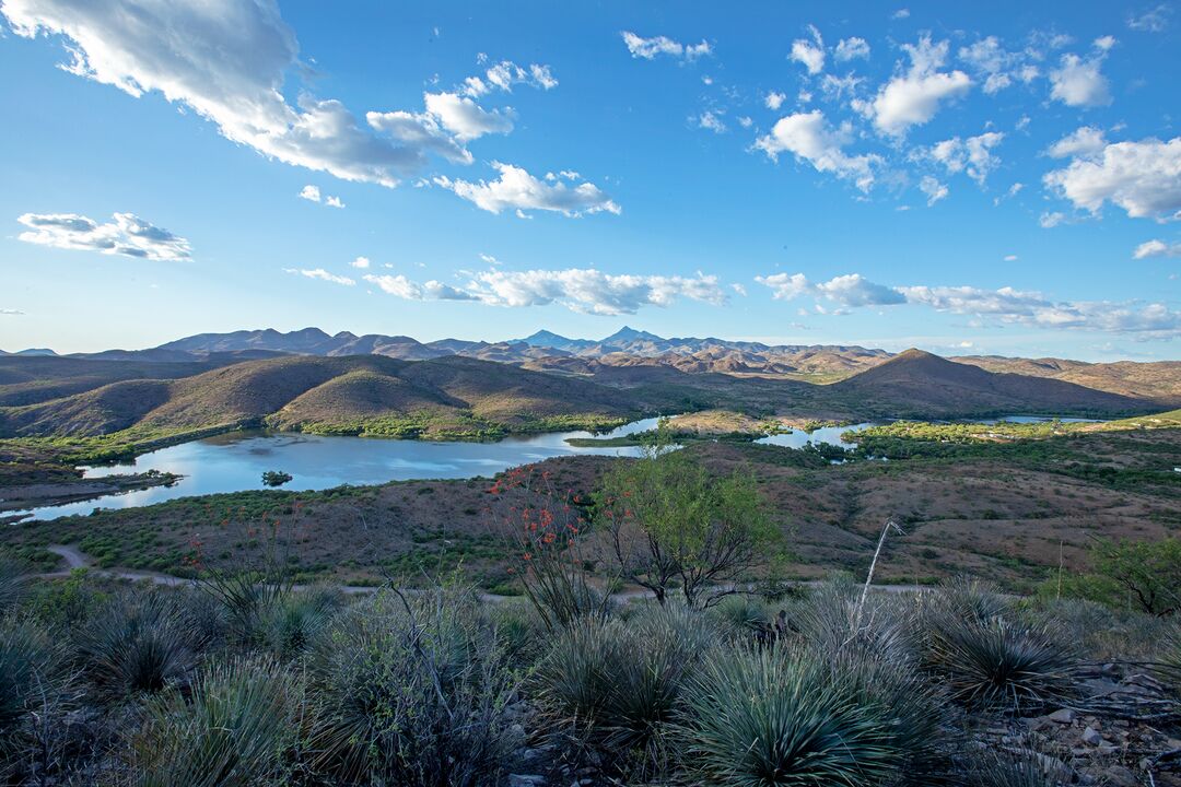 Patagonia Lake State Park, Nogales_credit Arizona State Parks and Trails