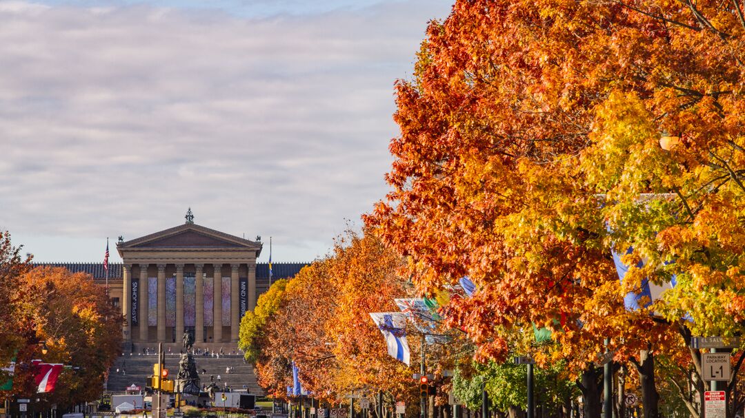 Ben Franklin Parkway Fall