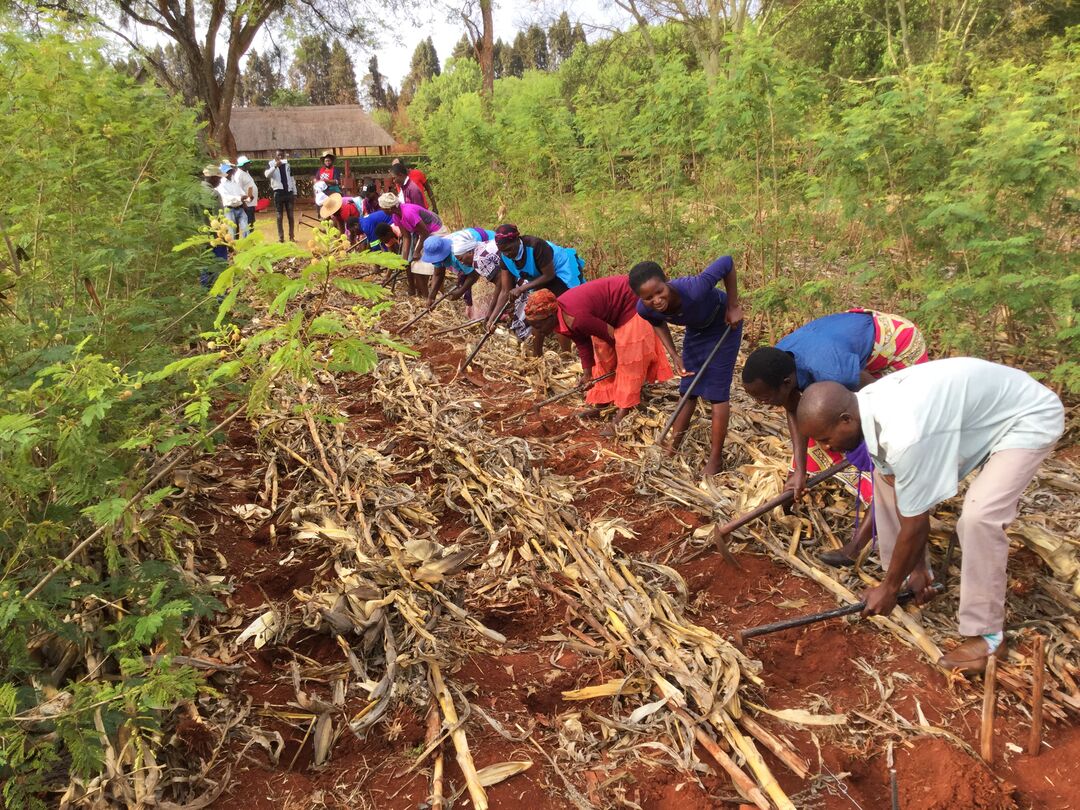 RNS-Zimbabwe-Farming1 102721