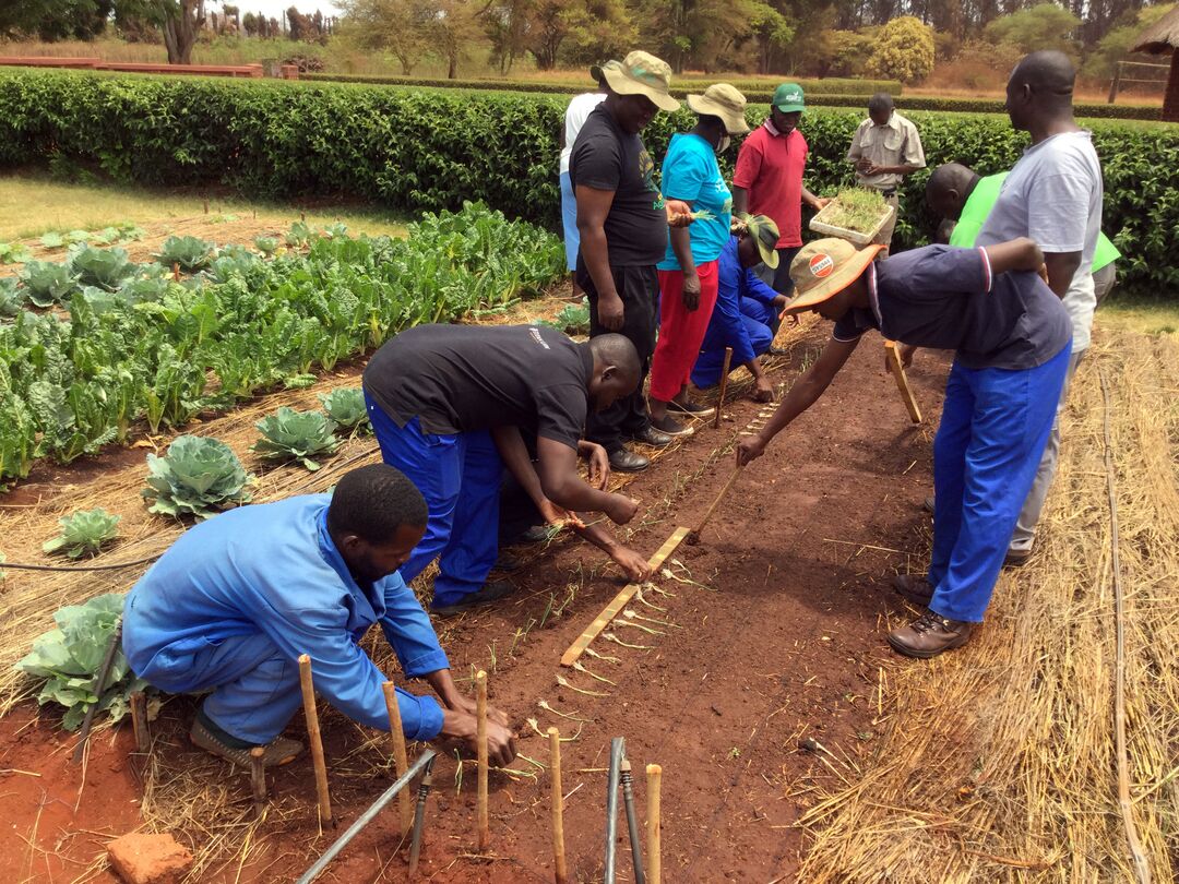 RNS-Zimbabwe-Farming4 102721