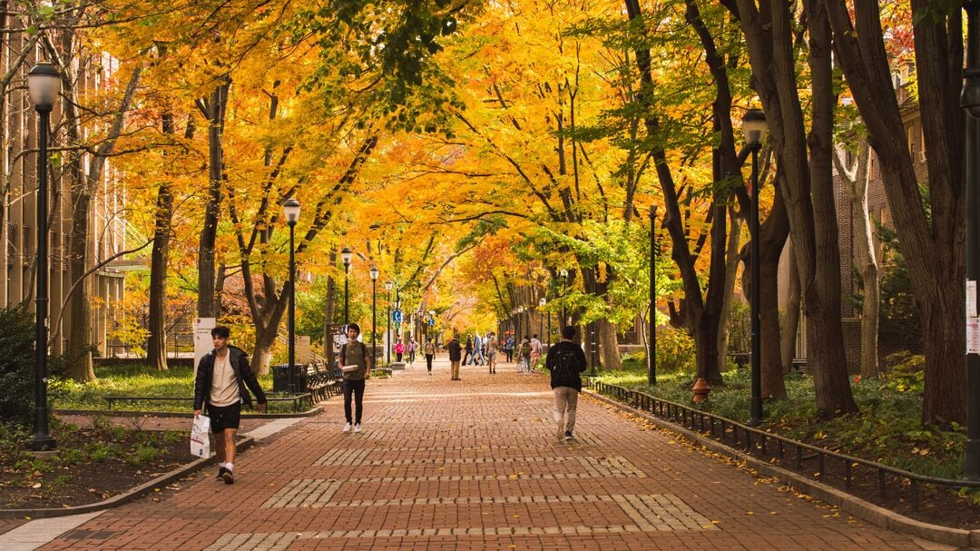 Locust Walk at University of Pennsylvania