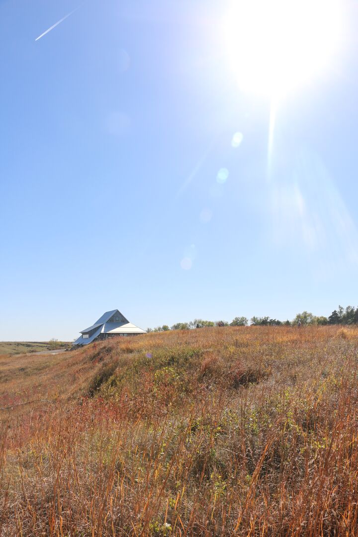 Gjerloff Prairie- Prairie Plains Education Center