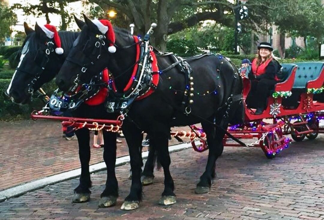 Brooksville Christmas Carriage Ride - credit Brooksville Main Street