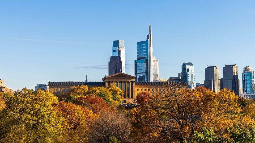 Skyline Lemon Hill Fall